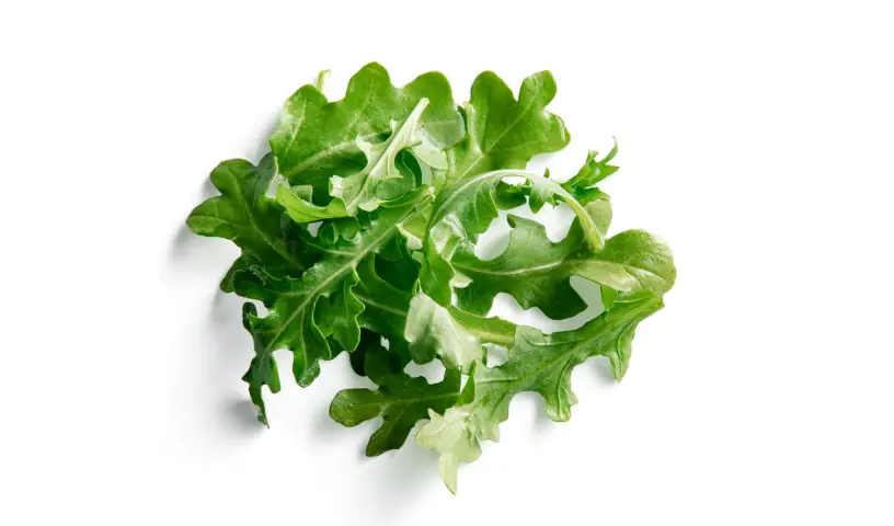 Baby Arugula