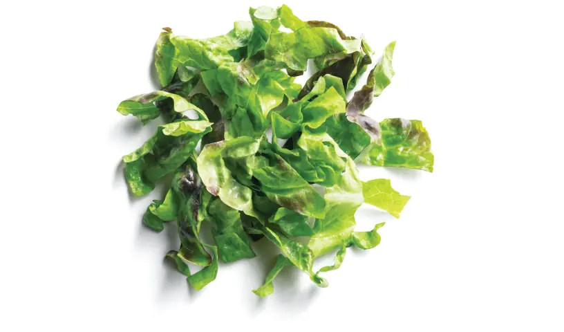 House Chopped Mixed Greens